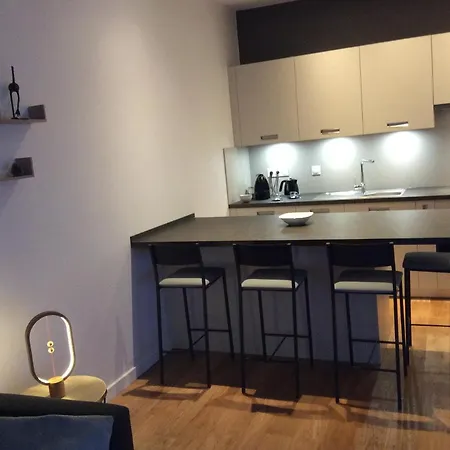 La Halle Aux Grains Lejlighed *