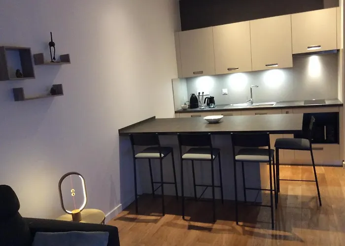 La Halle Aux Grains Appartement *